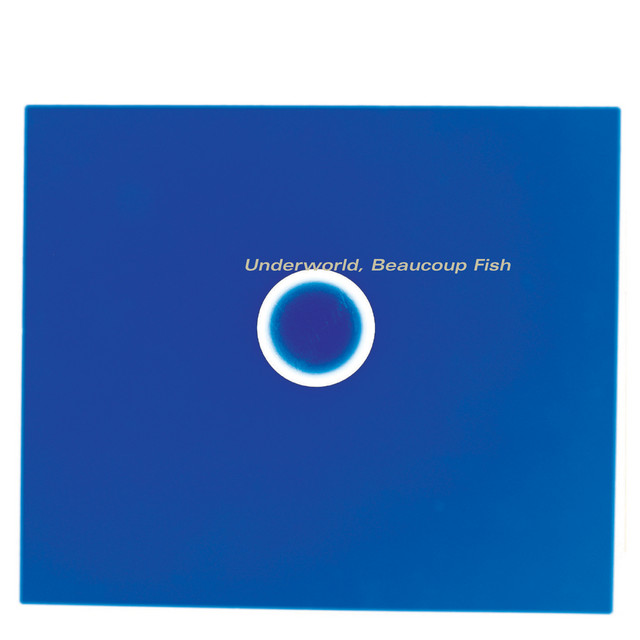 Beaucoup Fish (Remastered) album cover