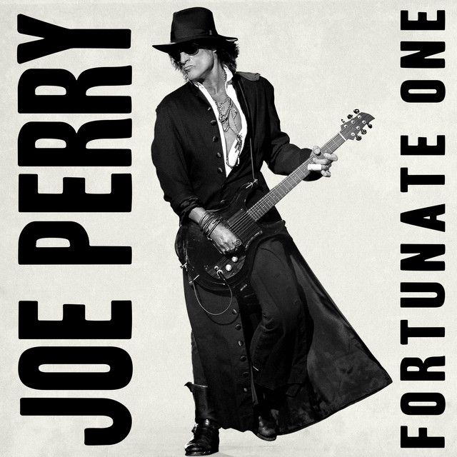 Electro-Harmonix POG Polyphonic Octave Generator as heard on Fortunate One (feat. Chris Robinson) by Joe Perry & Chris Robinson & Joe Perry (2023)