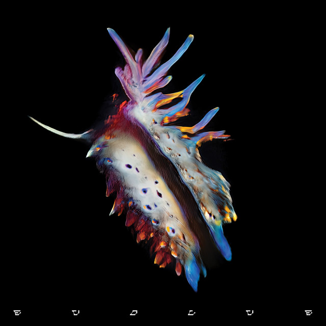 Evolve album cover