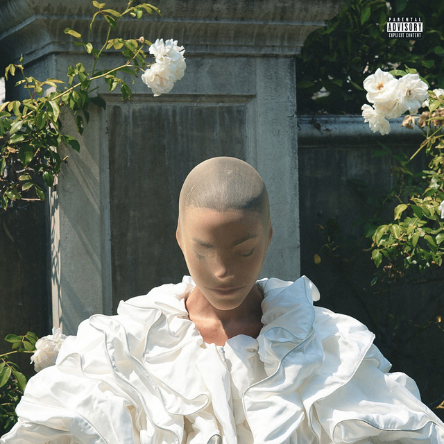 SOLO album cover