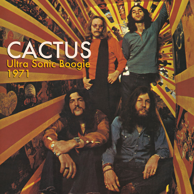 Ultra Sonic Boogie 1971 album cover