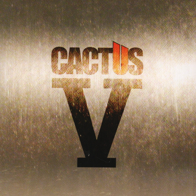V album cover