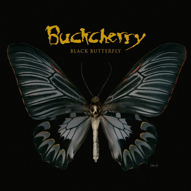 Black Butterfly album cover