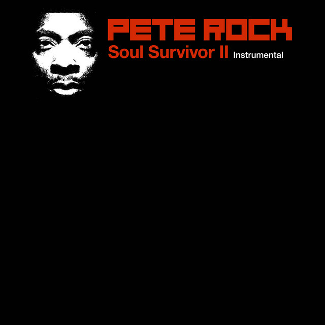 Soul Survivor II - Instrumental album cover