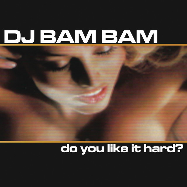 Do You Like It Hard? (Continuous DJ Mix by DJ Bam Bam) album cover