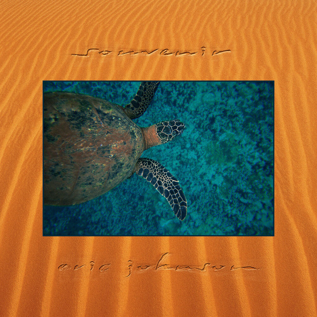 Souvenir album cover