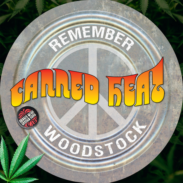 Remember Woodstock (Remastered) album cover