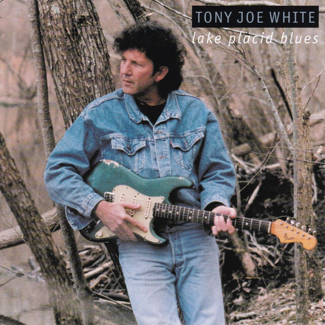 Lake Placid Blues album cover
