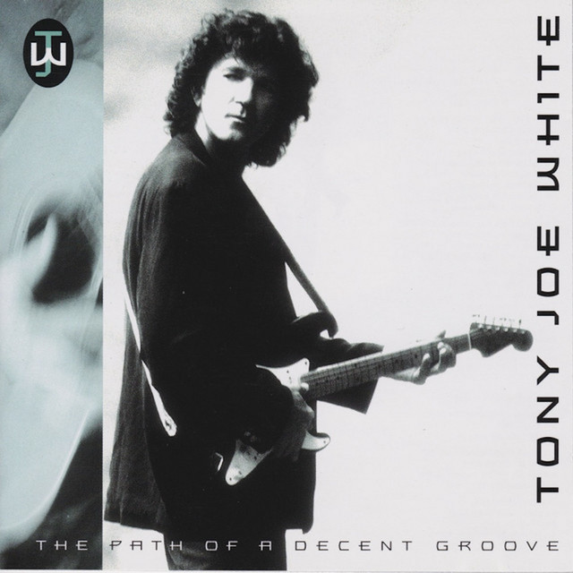 The Path of a Decent Groove album cover