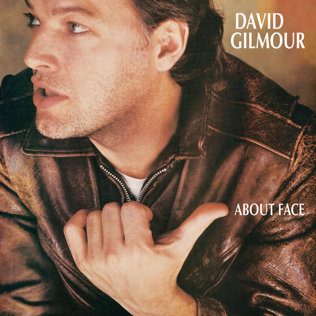 Boss CE-3 Chorus as heard on About Face by David Gilmour (1984)
