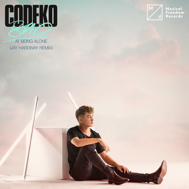 IK Multimedia Sonik Synth 2 as heard on Bad At Being Alone (Jay Hardway Remix) by Jay Hardway & Codeko (2020)