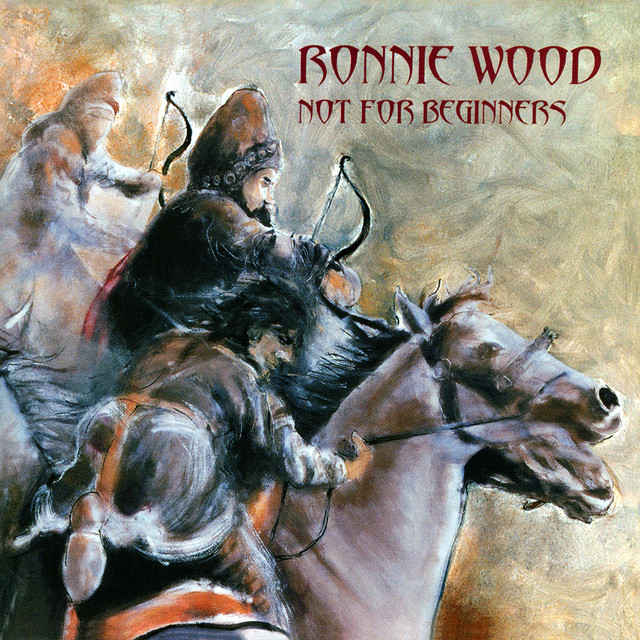 Not for Beginners album cover