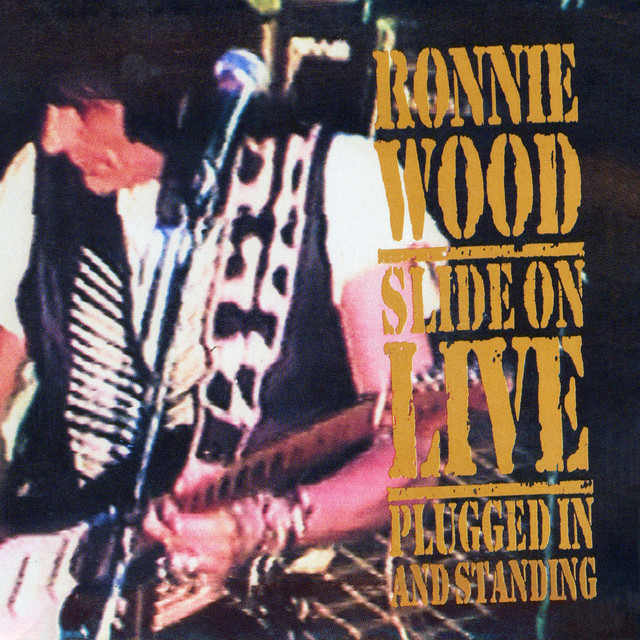 Slide On Live - Plugged In and Standing album cover