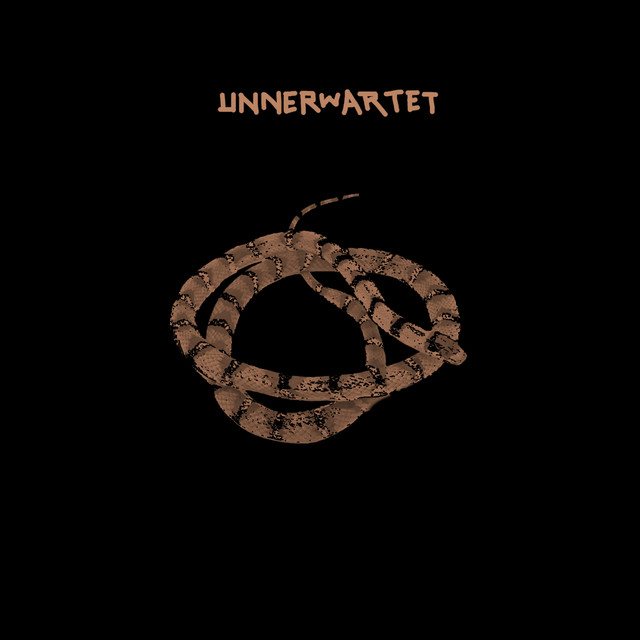 unnerwartet album cover