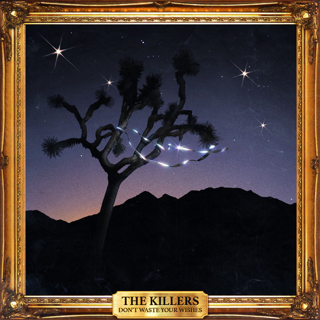 Don't Waste Your Wishes album cover