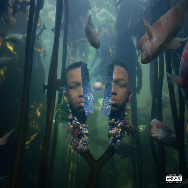 Tales from the Lost Cities album cover