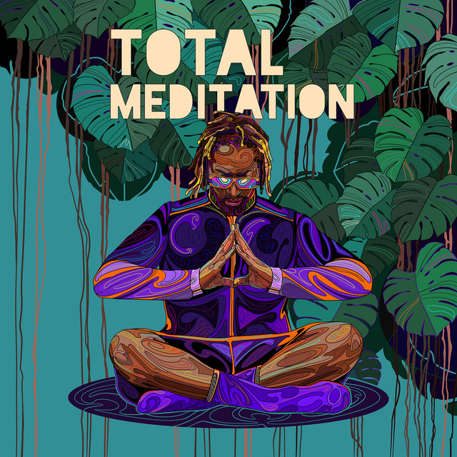 Total Meditation album cover