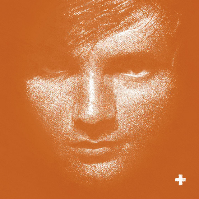 sE Electronics Z3300A Multi-Pattern Studio Condenser Microphone as heard on + by Ed Sheeran (2011)