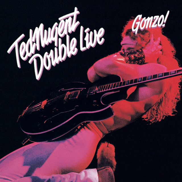 Double Live Gonzo album cover