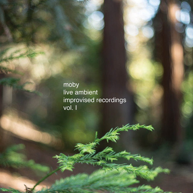 Korg M500 Micro-Preset as heard on Live Ambient Improvised Recordings, Vol. 1 by Moby (2020)