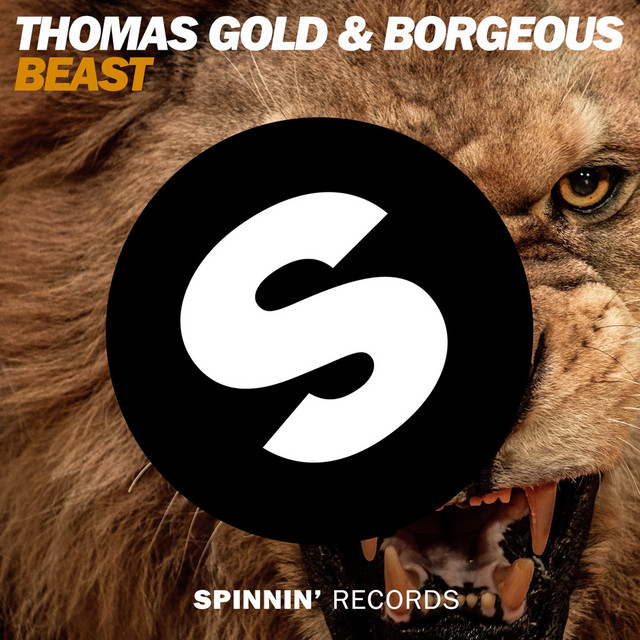Native Instruments RC 48 as heard on Beast by Borgeous & Thomas Gold (2014)