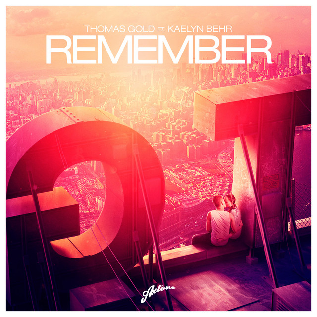 Native Instruments RC 48 as heard on Remember by Thomas Gold (2013)