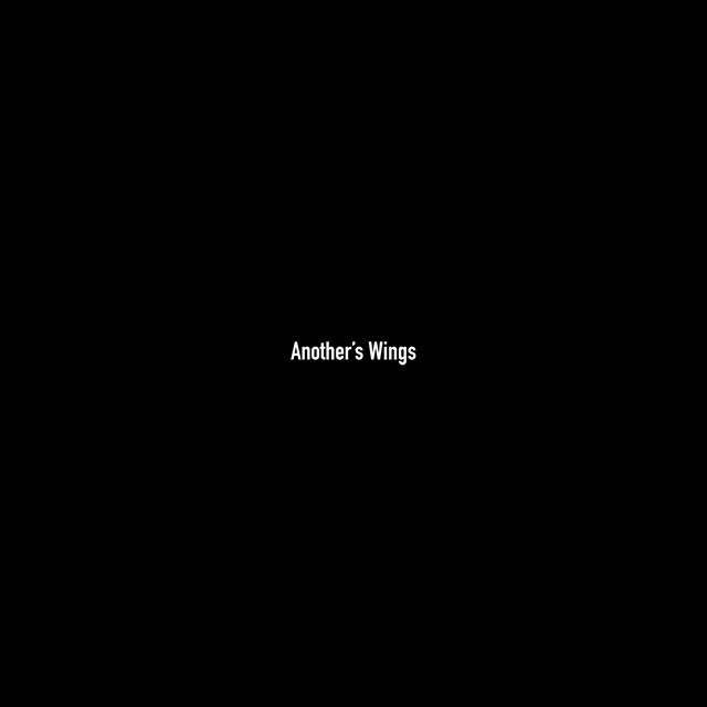 Another's Wings album cover
