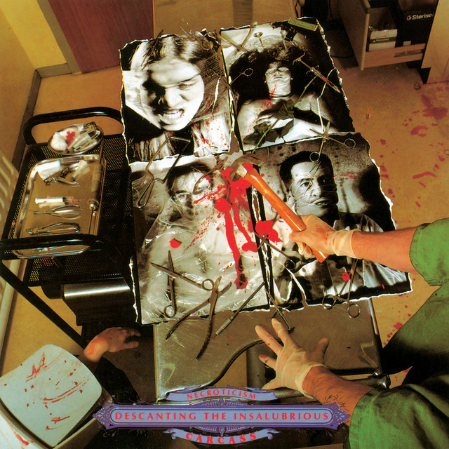 Necroticism - Descanting the Insalubrious album cover
