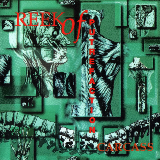 Reek of Putrefaction album cover