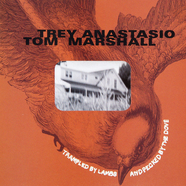 Trampled by Lambs and Pecked by the Dove album cover