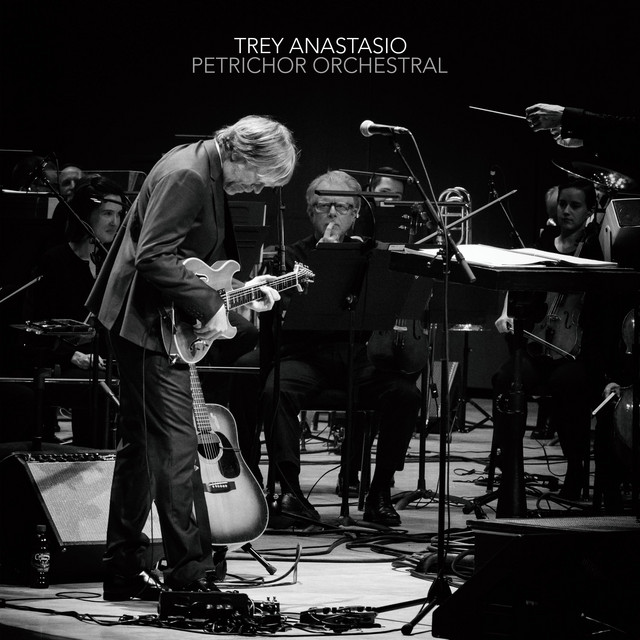 Swart ST-6V6se Space Tone Tube Amplifier as heard on Petrichor Orchestral by Trey Anastasio (2018)