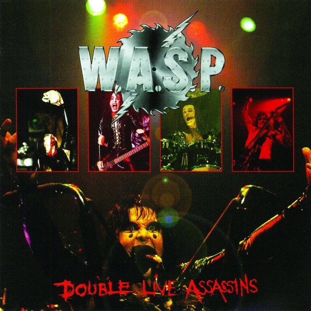 Double Live Assassins album cover