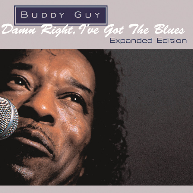 Damn Right, I've Got The Blues album cover
