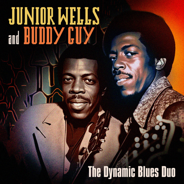 The Dynamic Blues Duo album cover