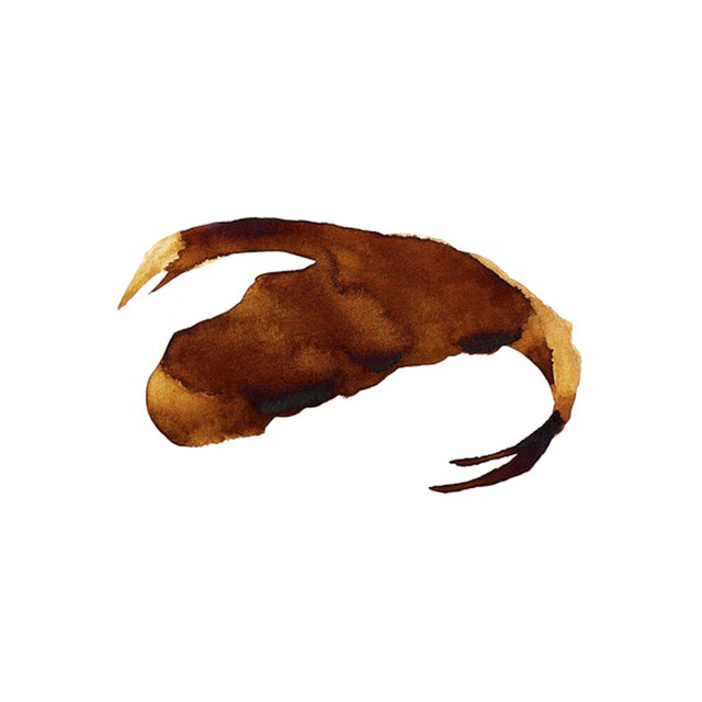 Salamandarin album cover