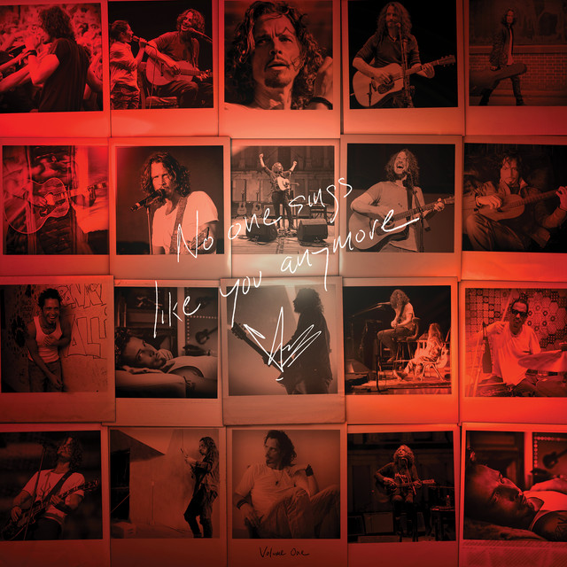 Gibson J-45 as heard on No One Sings Like You Anymore by Chris Cornell (2020)