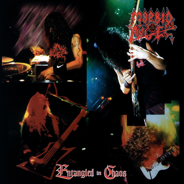 Entangled in Chaos album cover