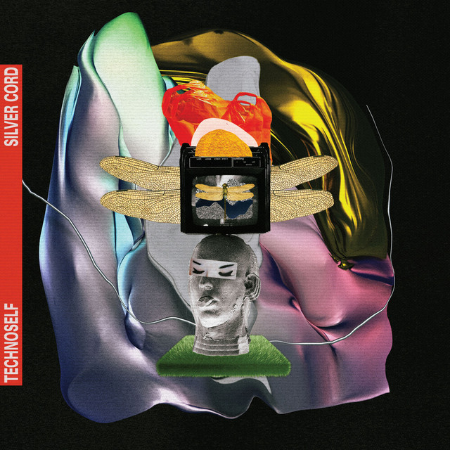 SILVER CORD album cover