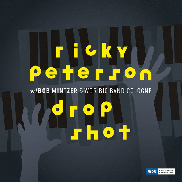 Drop Shot album cover