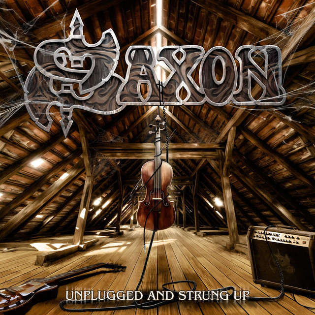 Unplugged and Strung Up / Heavy Metal Thunder album cover