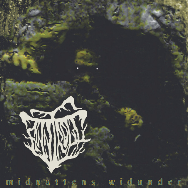 Midnattens Widunder album cover