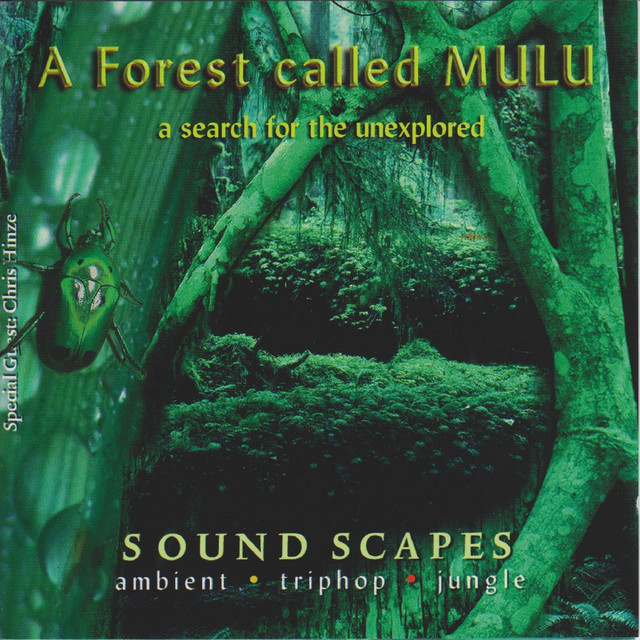 A Forest Called Mulu album cover