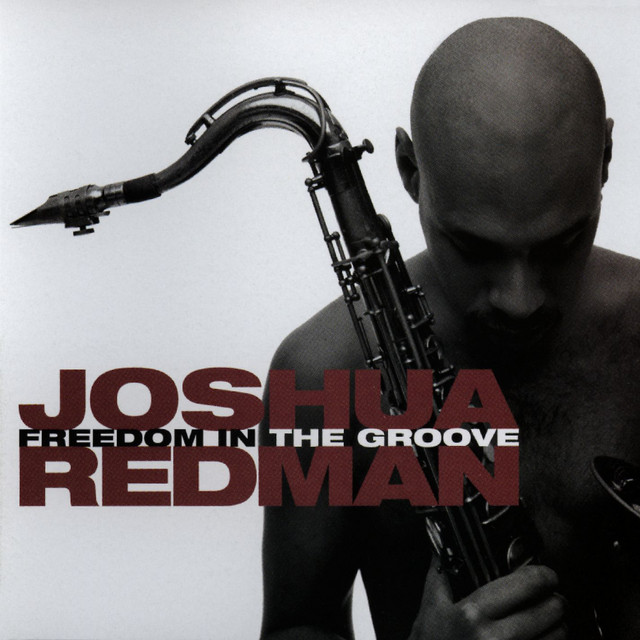 Freedom In The Groove album cover