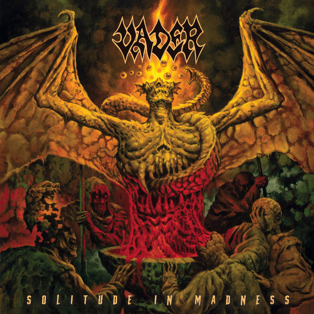 Solitude in Madness album cover