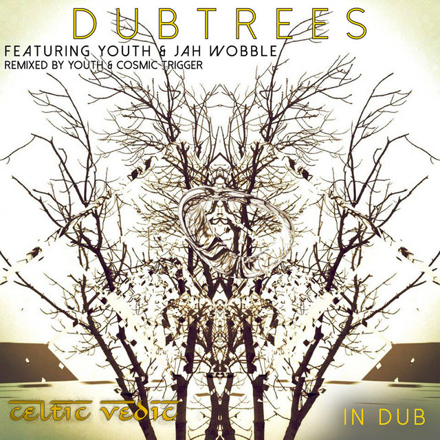 Celtic Vedic In Dub album cover