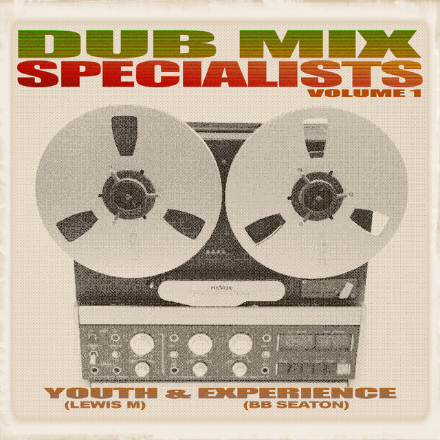 Dub Mix Specialists album cover