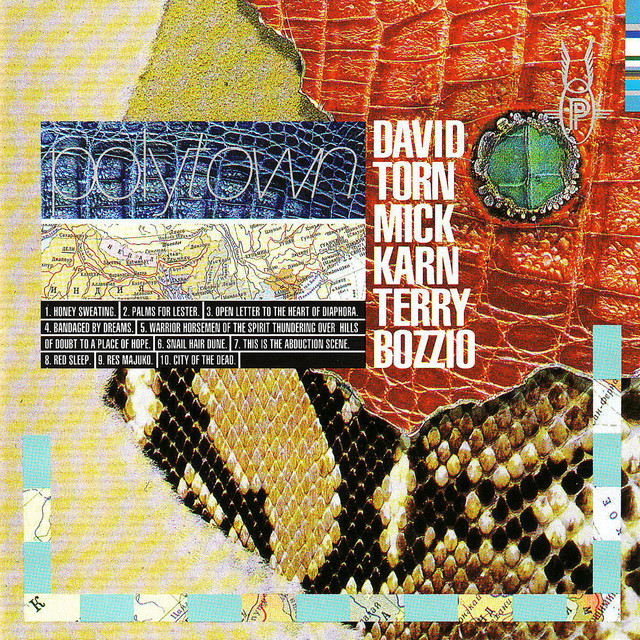 Polytown album cover