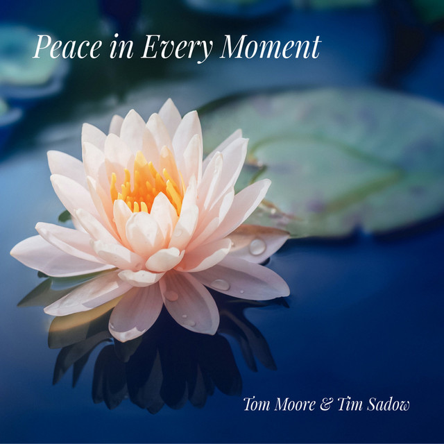 Peace in Every Moment album cover