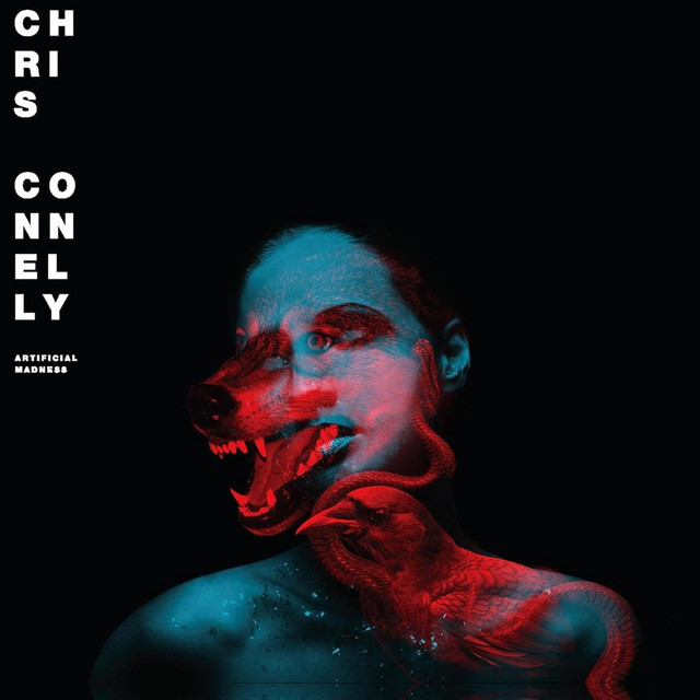 Artificial Madness album cover