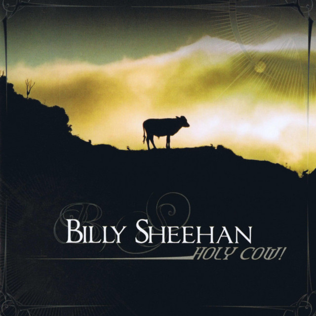 Holy Cow! album cover